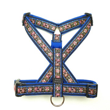 Zwart band blauwe voering