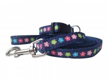 20260106113646 photoroom