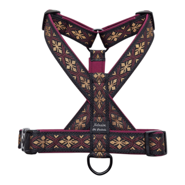 Zwart band bordeaux voering