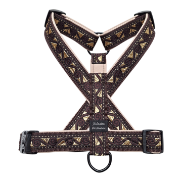 20260115114622 photoroom