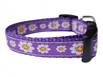 20260323092309 photoroomresized 1