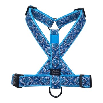 Sky blauw band aqua blauw voering
