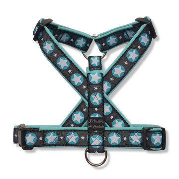 Zwart band turquoise voering