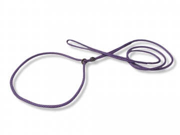 Showlijn strass purple diamond 3