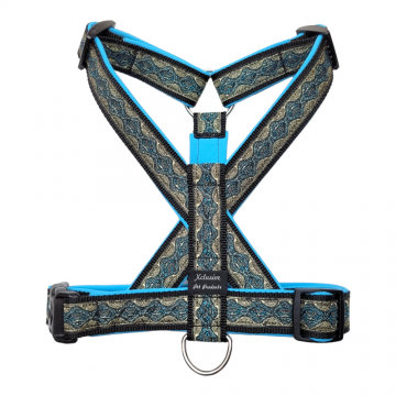 Zwart band aqua blauw voering